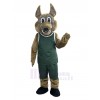 Coyote costume de mascotte