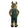 Coyote costume de mascotte