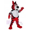 Tigre costume de mascotte