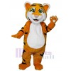 Tigre costume de mascotte