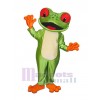 Grenouille costume de mascotte