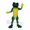 Grenouille costume de mascotte