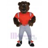 Ours costume de mascotte