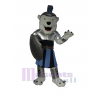Ours costume de mascotte