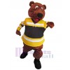 Ours costume de mascotte