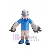 Faucon costume de mascotte