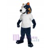 Loup costume de mascotte