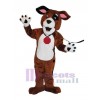 Chien costume de mascotte