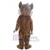 Coyote costume de mascotte