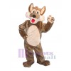 Coyote costume de mascotte