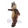 Écureuil costume de mascotte