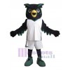 Chouette Hibou costume de mascotte