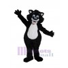 Chat costume de mascotte