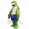 Tortue costume de mascotte