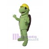 Tortue costume de mascotte