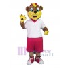 Ours costume de mascotte