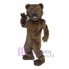 Ours costume de mascotte