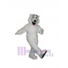Ours costume de mascotte