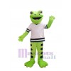 Grenouille costume de mascotte