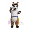 Kangourou costume de mascotte