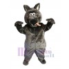Loup costume de mascotte