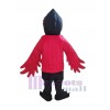 Corbeau costume de mascotte