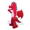 Dragon costume de mascotte