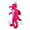 Dragon costume de mascotte