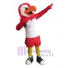 Faucon costume de mascotte