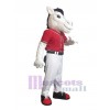 Cheval costume de mascotte