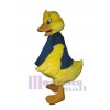 Canard costume de mascotte