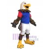 Aigle costume de mascotte