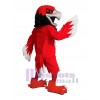 Faucon costume de mascotte