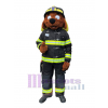 Chien costume de mascotte