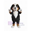 Chien costume de mascotte