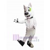 Chien costume de mascotte