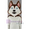 Chien costume de mascotte