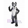 Chien costume de mascotte