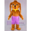 Chien costume de mascotte