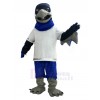 Faucon costume de mascotte