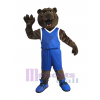 Ours costume de mascotte