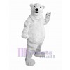 Ours costume de mascotte