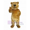 Ours costume de mascotte