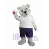 Ours costume de mascotte