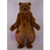 Ours costume de mascotte