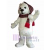 Ours costume de mascotte