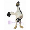 Oiseau Autruche costume de mascotte