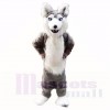 gris Rauque Chien Costumes De Mascotte Dessin animé