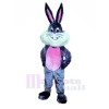 Heureux lapin lapin Mascotte Les costumes Dessin animé