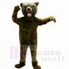 Grisonnant Ours Costumes De Mascotte Adulte